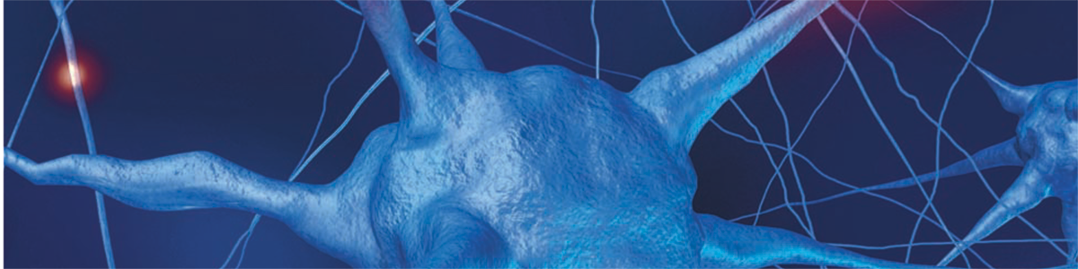 Innovativ terapi för Alzheimers sjukdom med inkapslade NGFproducerande celler