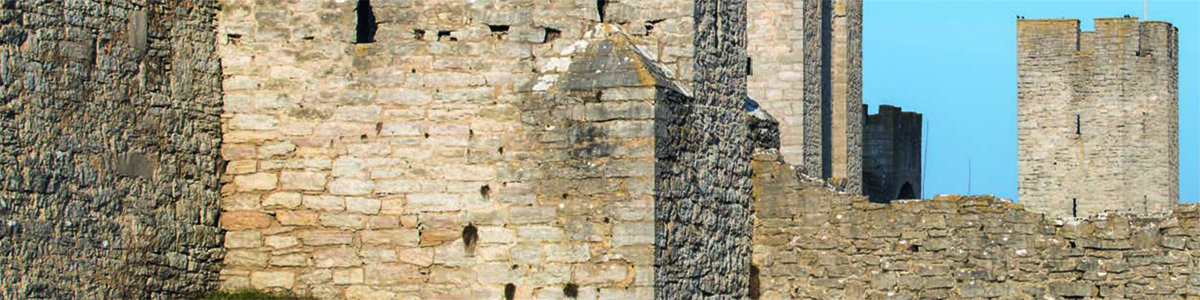 Bredd och spets på Visby lasaretts neuromottagning