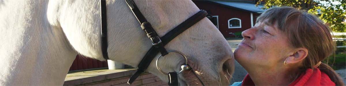 Ridning eller rytm och musikterapi kan öka återhämtning sent efter en stroke