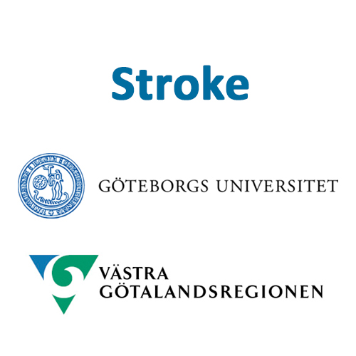Stroke – ett interprofessionellt vårdprocessperspektiv