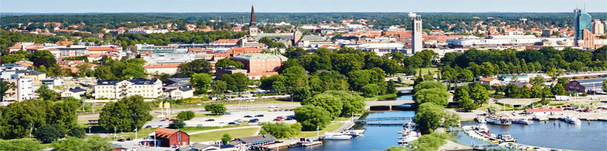 Akut Neurologi i Sverige -8–9 februari 2018