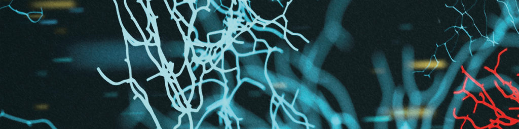 Fosforylerat tau och totalt tau i cerebrospinalvätska vid Alzheimers sjukdom