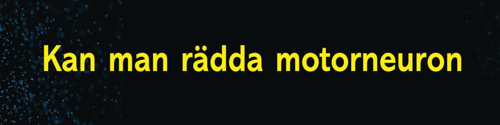 Kan man rädda motorneuron från degeneration?