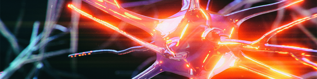 ECTRIMS 2021 är historia!