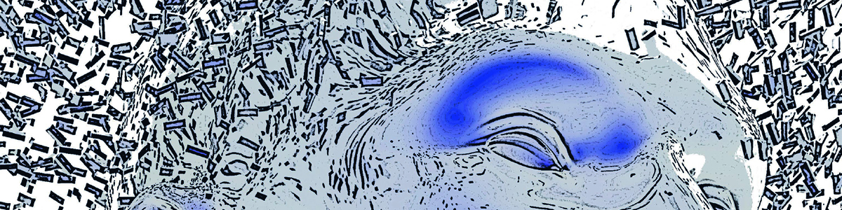 ANS 9 – 3 februari 2022