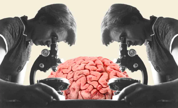 Hjärnfonden delar ut 120 miljoner till svensk hjärnforskning – nytt rekord!