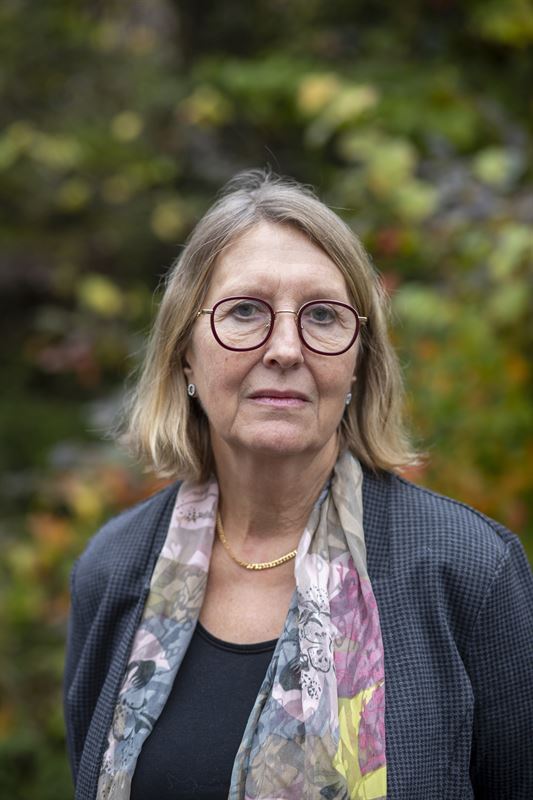 Höginkomsttagare har lägre risk att dö i stroke