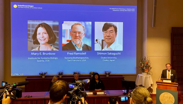 Nobelpris för upptäckter som avslöjar immunförsvarets kontrollsystem